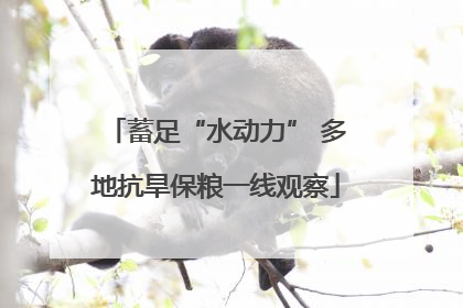 蓄足“水动力” 多地抗旱保粮一线观察