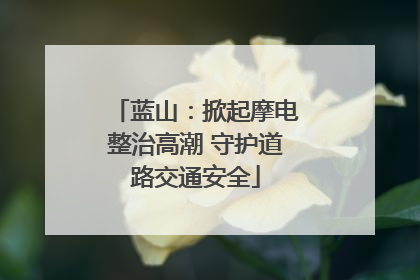 蓝山：掀起摩电整治高潮 守护道路交通安全