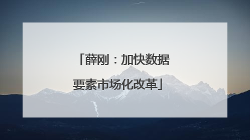 薛刚：加快数据要素市场化改革