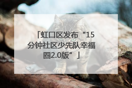 虹口区发布“15分钟社区少先队幸福圈2.0版”