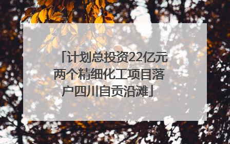 计划总投资22亿元 两个精细化工项目落户四川自贡沿滩