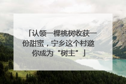 认领一棵桃树收获一份甜蜜，宁乡这个村邀你成为“树主”