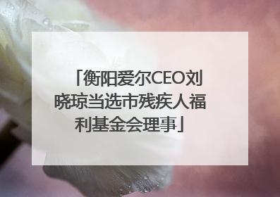 衡阳爱尔CEO刘晓琼当选市残疾人福利基金会理事