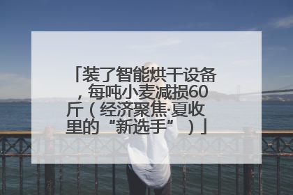 装了智能烘干设备，每吨小麦减损60斤（经济聚焦·夏收里的“新选手”）