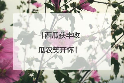 西瓜获丰收 瓜农笑开怀