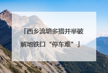 西乡流塘多措并举破解地铁口“停车难”