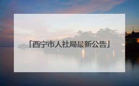 西宁市人社局最新公告