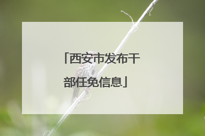 西安市发布干部任免信息