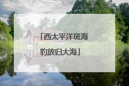 西太平洋斑海豹放归大海