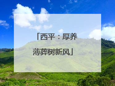 西平：厚养薄葬树新风