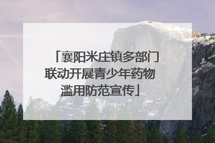 襄阳米庄镇多部门联动开展青少年药物滥用防范宣传