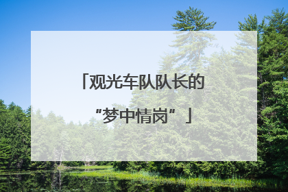 观光车队队长的“梦中情岗”