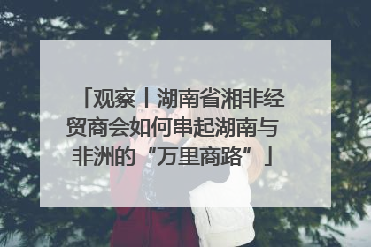 观察丨湖南省湘非经贸商会如何串起湖南与非洲的“万里商路”