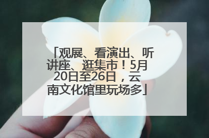 观展、看演出、听讲座、逛集市！5月20日至26日，云南文化馆里玩场多