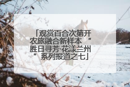观赏百合次第开 农旅融合新样本 “胜日寻芳·花漾兰州”系列报道之七