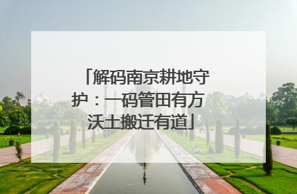 解码南京耕地守护：一码管田有方 沃土搬迁有道