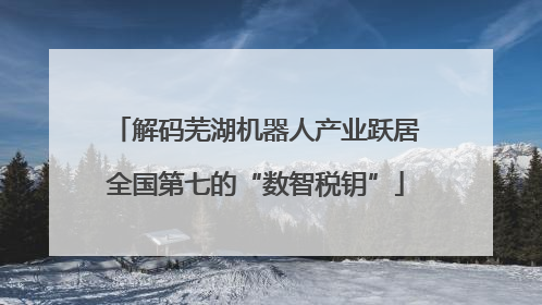 解码芜湖机器人产业跃居全国第七的“数智税钥”
