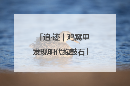 追·迹｜鸡窝里发现明代抱鼓石
