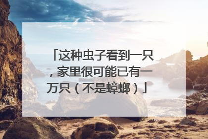 这种虫子看到一只，家里很可能已有一万只（不是蟑螂）