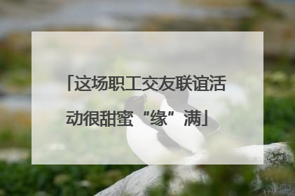 这场职工交友联谊活动很甜蜜“缘”满