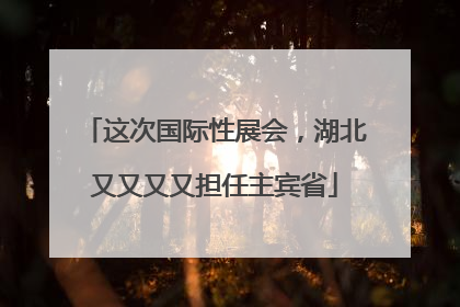 这次国际性展会，湖北又又又又担任主宾省