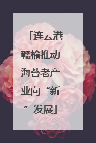 连云港赣榆推动海苔老产业向“新”发展