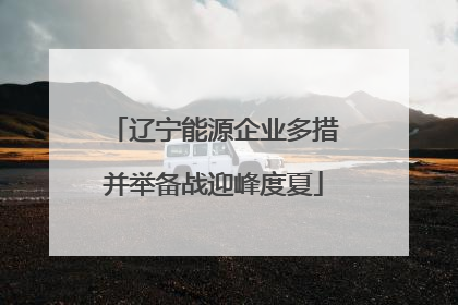 辽宁能源企业多措并举备战迎峰度夏