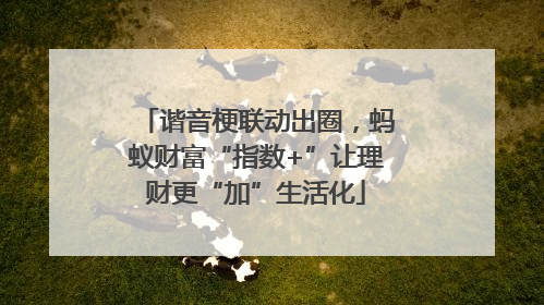 谐音梗联动出圈，蚂蚁财富“指数+”让理财更“加”生活化