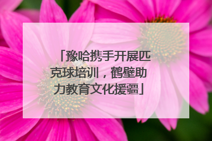 豫哈携手开展匹克球培训，鹤壁助力教育文化援疆
