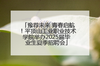 豫荐未来 青春启航！平顶山工业职业技术学院举办2025届毕业生夏季招聘会