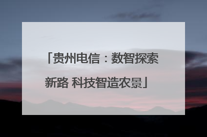 贵州电信：数智探索新路 科技智造农景
