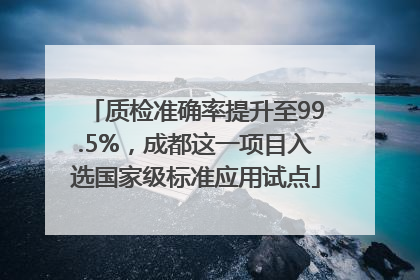 质检准确率提升至99.5%，成都这一项目入选国家级标准应用试点