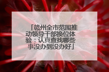 赣州全市范围推动领导干部换位体验：认真查找哪些事没办到没办好