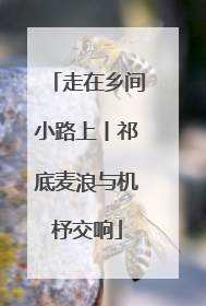 走在乡间小路上丨祁底麦浪与机杼交响