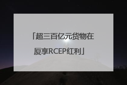 超三百亿元货物在厦享RCEP红利