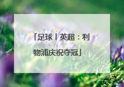 足球丨英超：利物浦庆祝夺冠