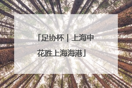足协杯｜上海申花胜上海海港