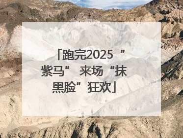 跑完2025“紫马” 来场“抹黑脸”狂欢