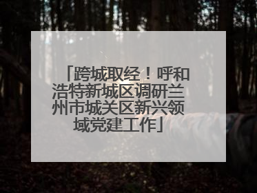 跨城取经！呼和浩特新城区调研兰州市城关区新兴领域党建工作