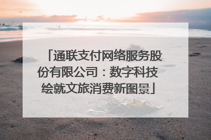 通联支付网络服务股份有限公司：数字科技绘就文旅消费新图景
