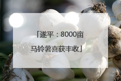 遂平：8000亩马铃薯喜获丰收