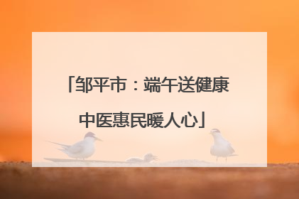 邹平市：端午送健康 中医惠民暖人心