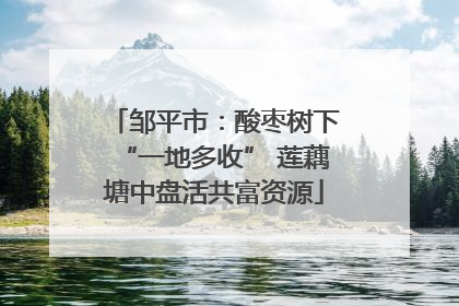 邹平市：酸枣树下“一地多收” 莲藕塘中盘活共富资源