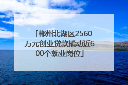 郴州北湖区2560万元创业贷款撬动近600个就业岗位