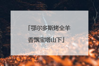 鄂尔多斯烤全羊香飘宝塔山下