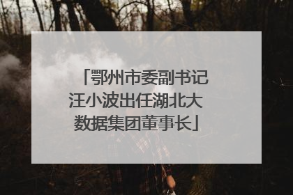 鄂州市委副书记汪小波出任湖北大数据集团董事长