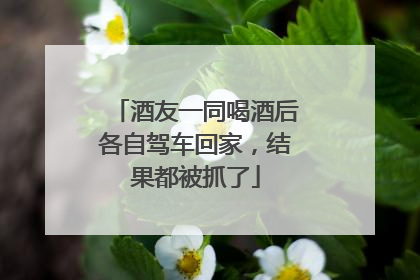 酒友一同喝酒后各自驾车回家，结果都被抓了