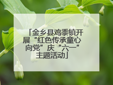 金乡县鸡黍镇开展“红色传承童心向党”庆“六一”主题活动