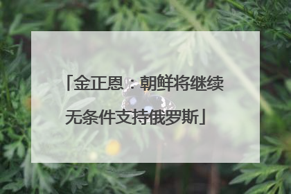 金正恩：朝鲜将继续无条件支持俄罗斯