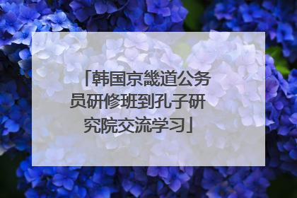 韩国京畿道公务员研修班到孔子研究院交流学习